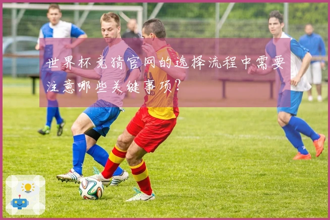 世界杯竞猜官网的选择流程中需要注意哪些关键事项？