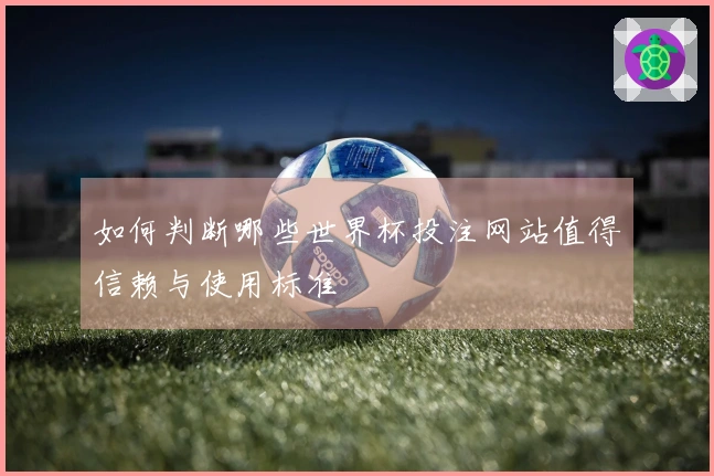 如何判断哪些世界杯投注网站值得信赖与使用标准